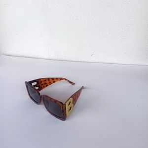 LADIES FASHION BROWN SHADES